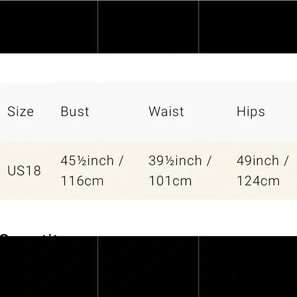 Plus Size Spaghetti Strap Chiffon Long Dress - Picture 3 of 3